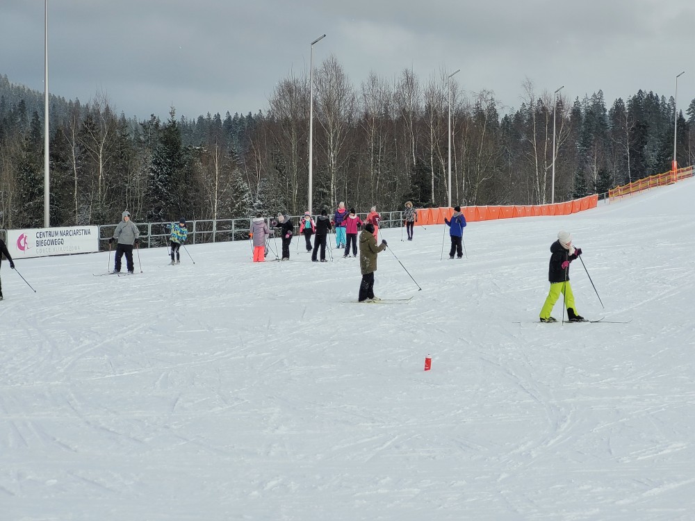 Program Narciarstwa Biegowego